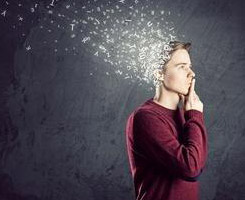 德州做网站建设要沉着，不可浮躁